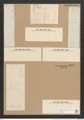 Amphiprora didyma = donkiniae sp.? W. Sm. (de-Toni-Nr.: Genus 29) Zeichnungen Sammlung Grunow Nr. 2583 (NHMW-BOT-W0369769)
